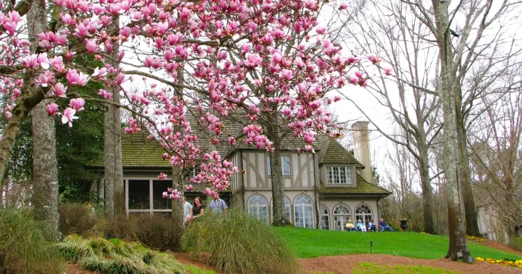 Georgia in spring