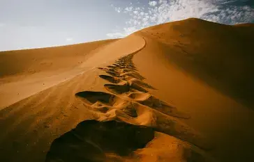 The Singing Dune